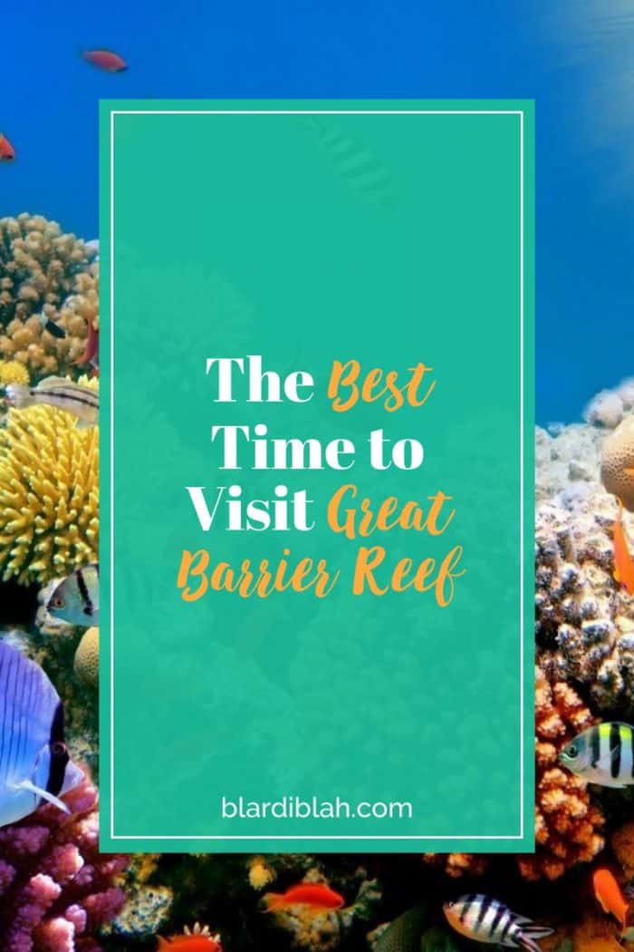 The Best Time to Visit Great Barrier Reef