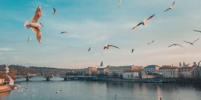 How Many Days Do You Need In Prague