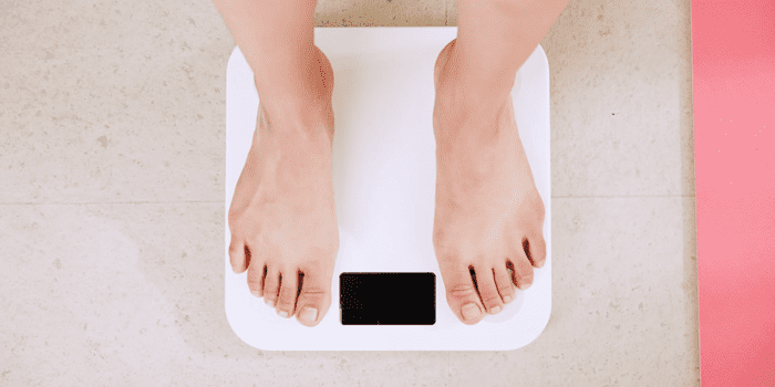 Can You Bring A Scale On A Plane
